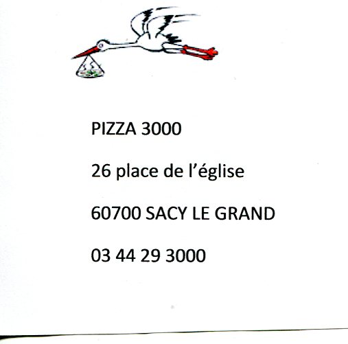 pizza 3000.jpg