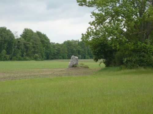 Menhir de la pierre au coq.