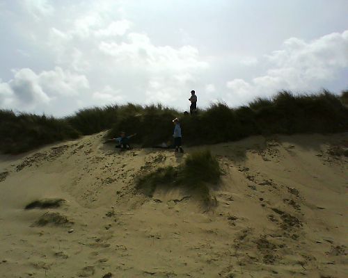 Pique-nique dans les dunes