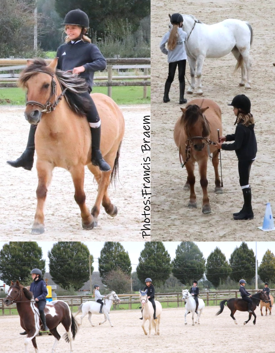 Blog HFmontage 1