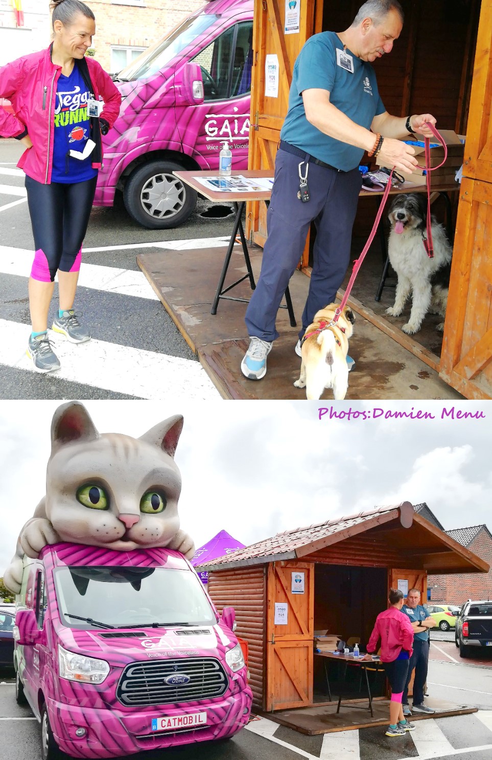 Blog montage catmobile 2