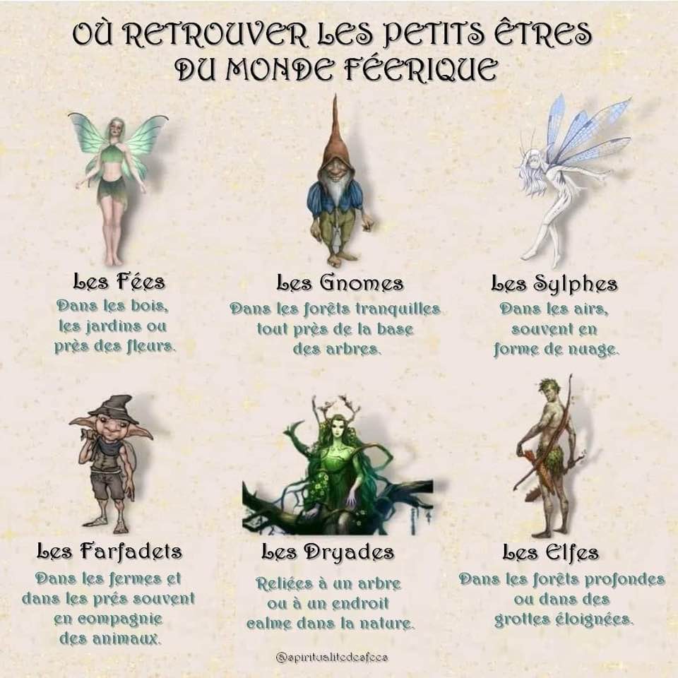 les petits êtres de la Nature.jpg