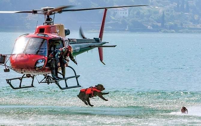 on emmène pas le chien.jpg