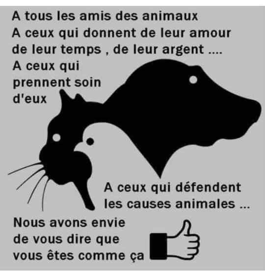 à ceux qui aiment les animaux.jpg