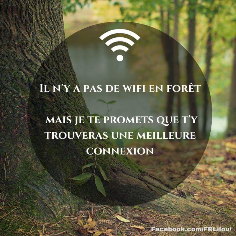 wifi verte.jpg