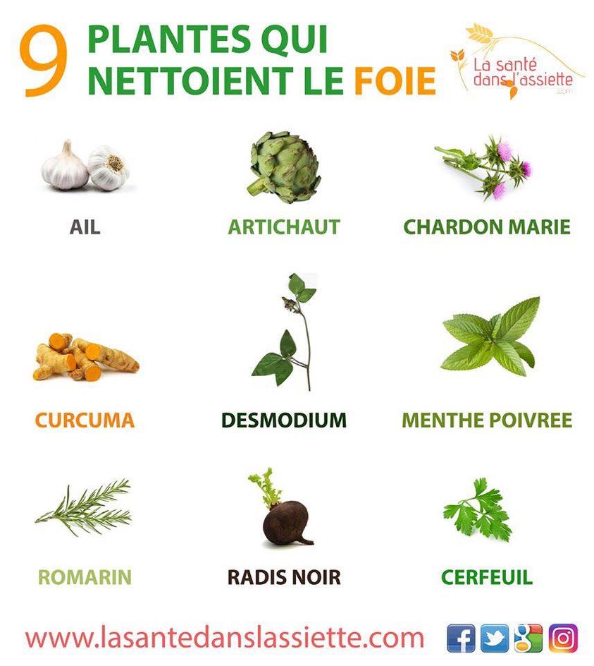 9 plantes qui nettoient le foie.jpg