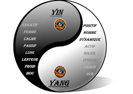 Le Yin et le Yang.jpg