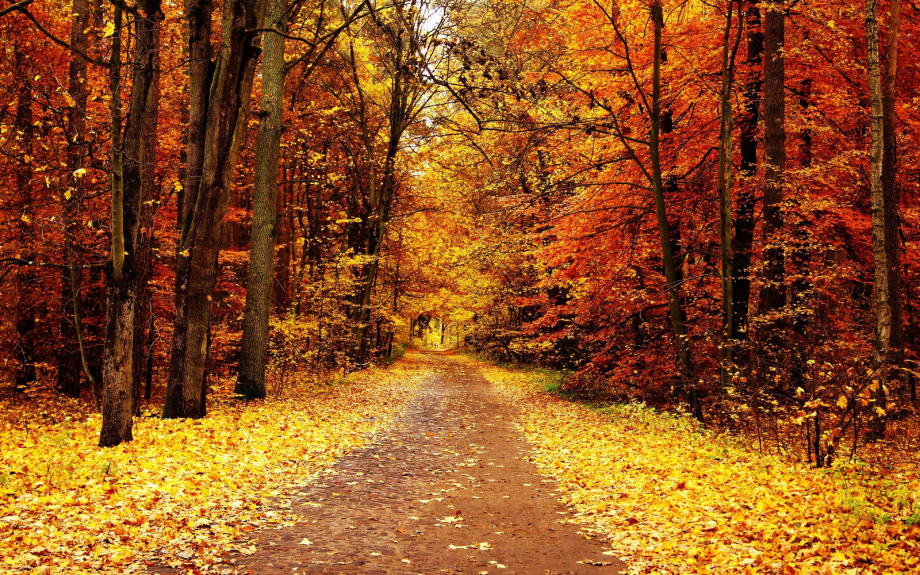 octobre-paysage.jpg