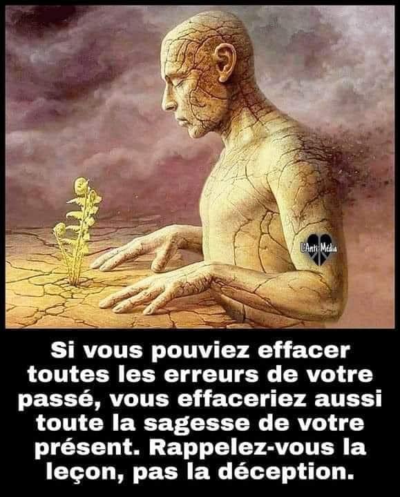 effacer les erreurs pas la sagesse.jpg