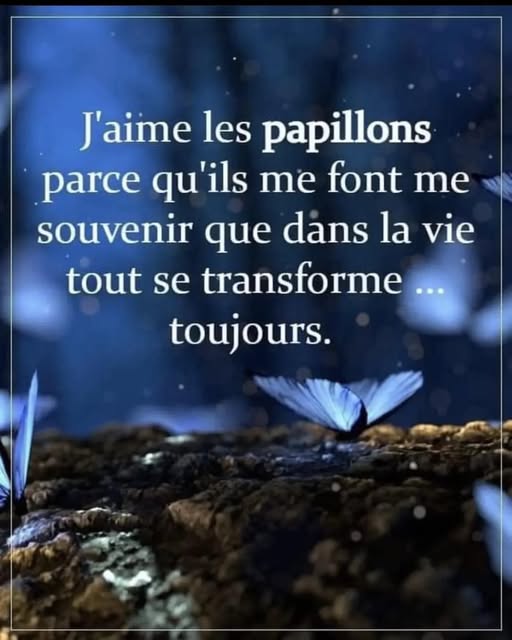 AIME LES PAPILLONS.jpg