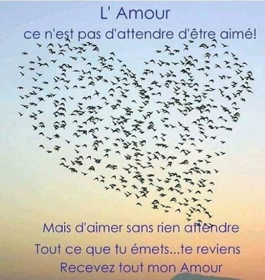 l'Amour.jpg