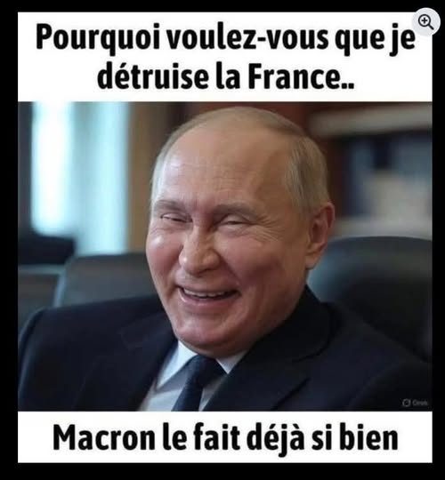 V.P et Macaron qui détruit.jpg
