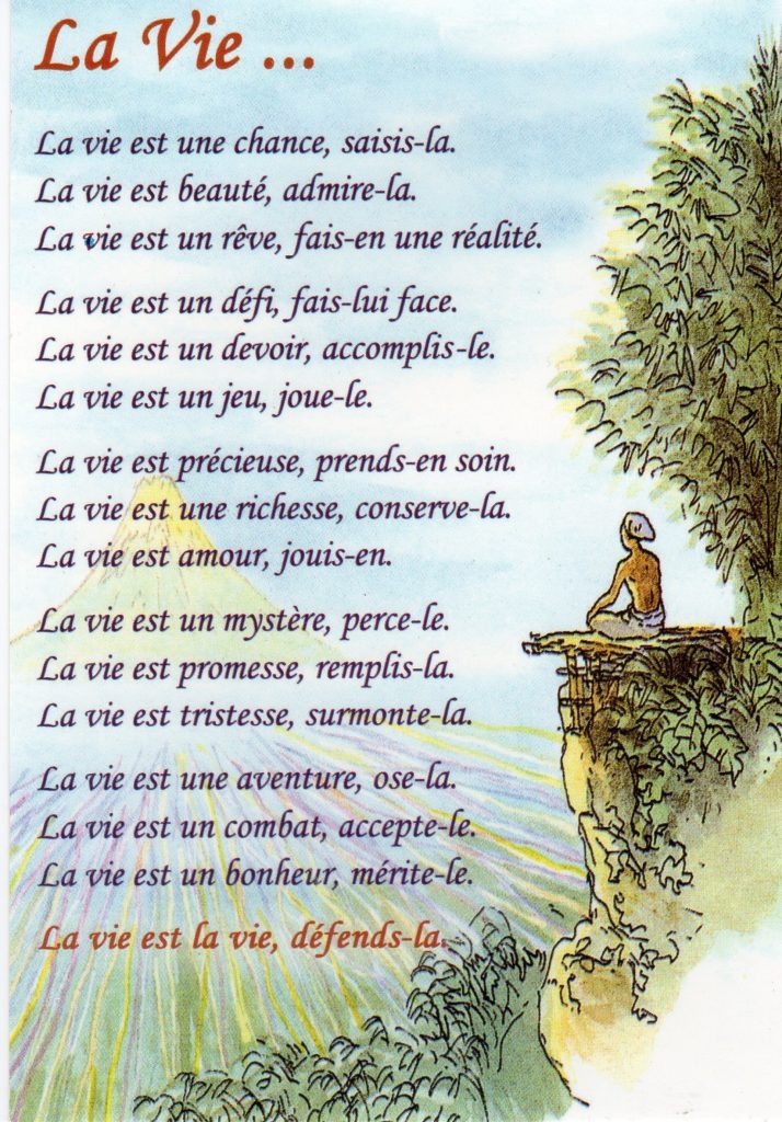 la vie saisis-là.jpg