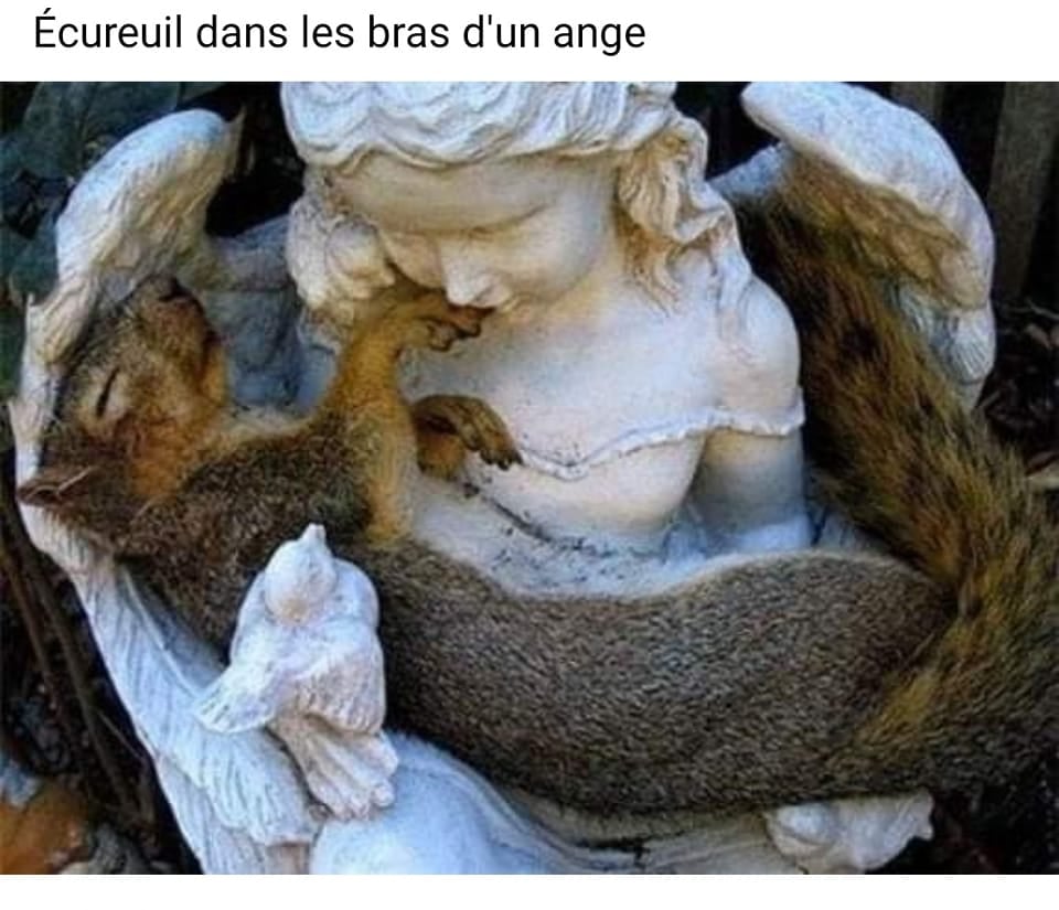 écureuil et ange.jpg