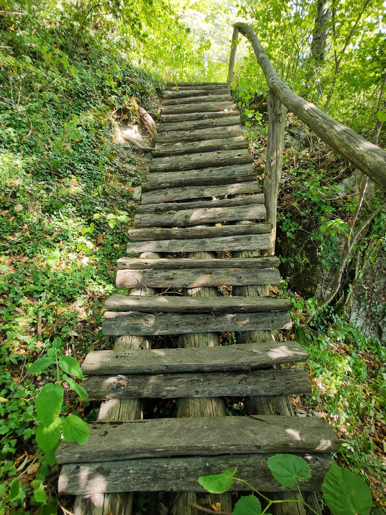 escalier de bois nature.jpg