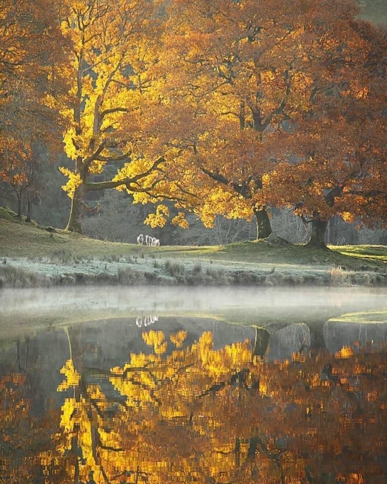 automne er reflet.jpg