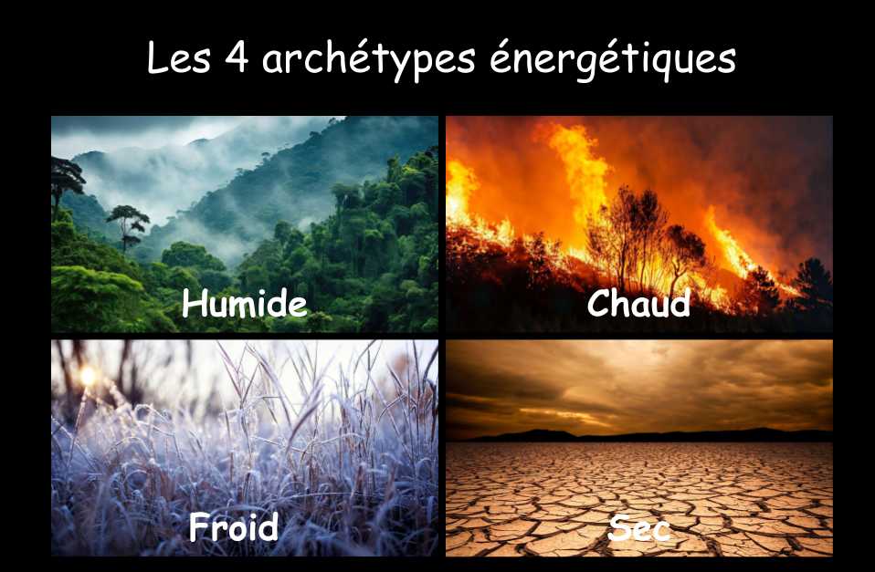 4 archétypes énergétiques.png