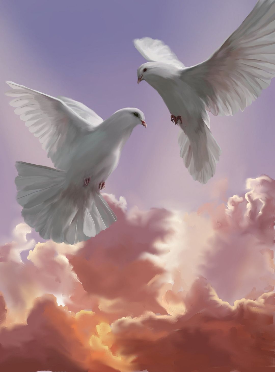 colombes de la paix.jpg