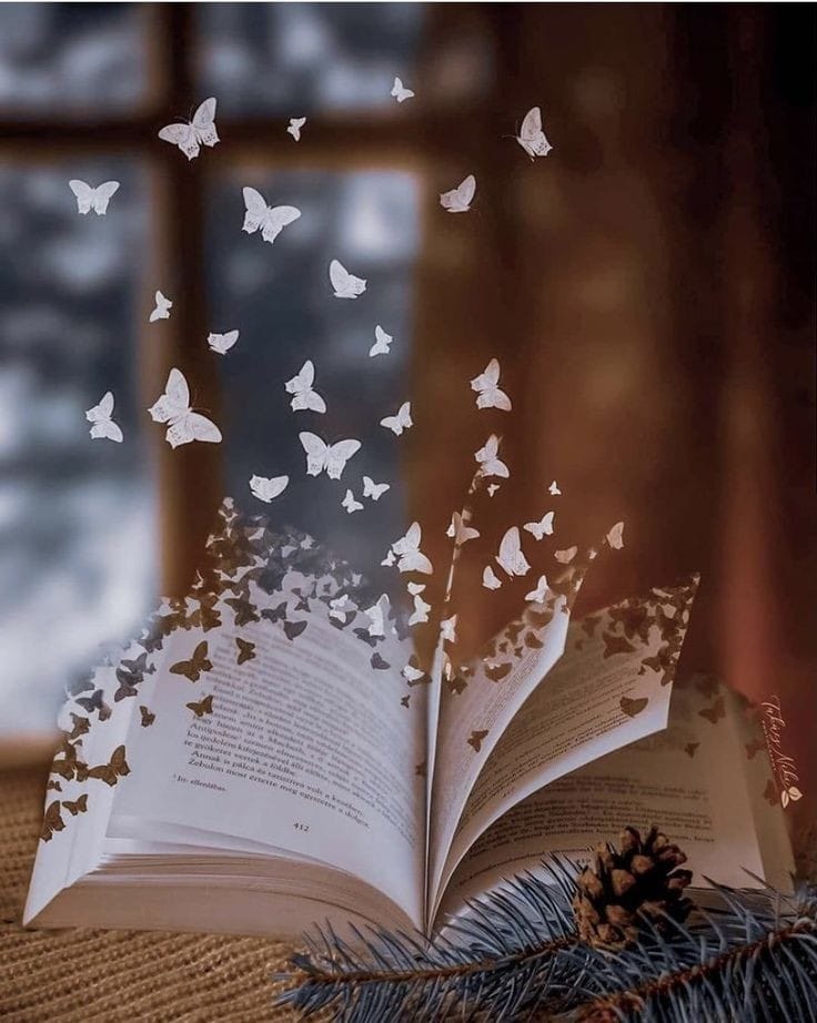 livre et papillons.jpg