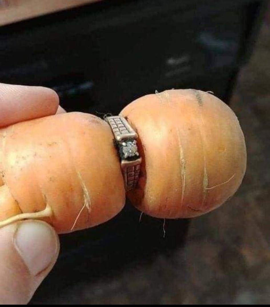 bague - carotte.jpg