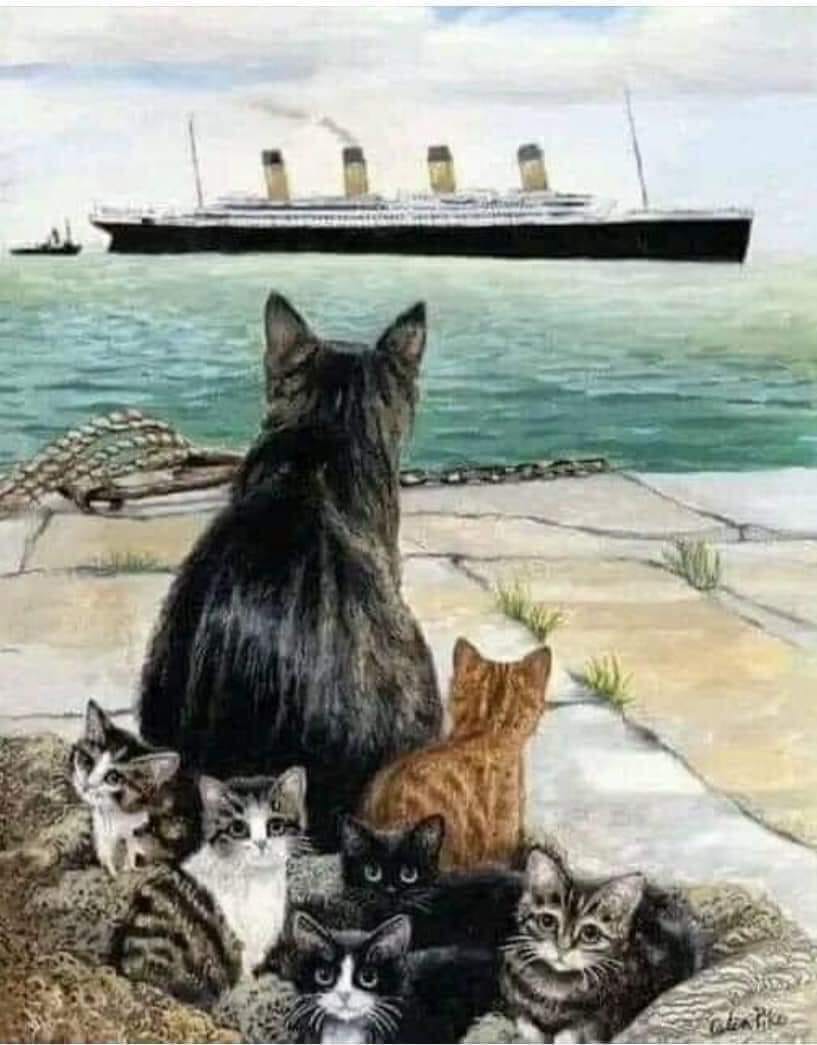 titanic Cats.jpg