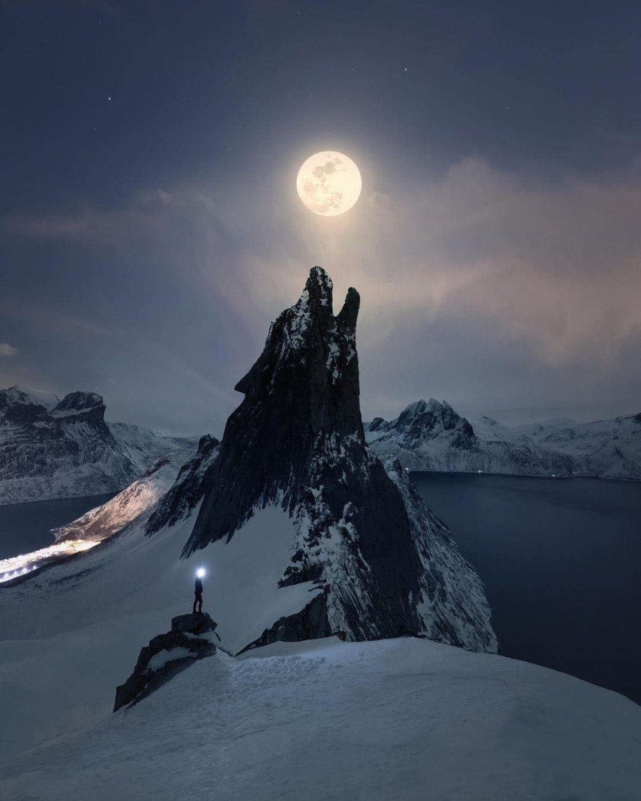 lune et loup