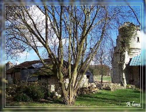 Les Ruines du Prieuré de Moreaucourt 