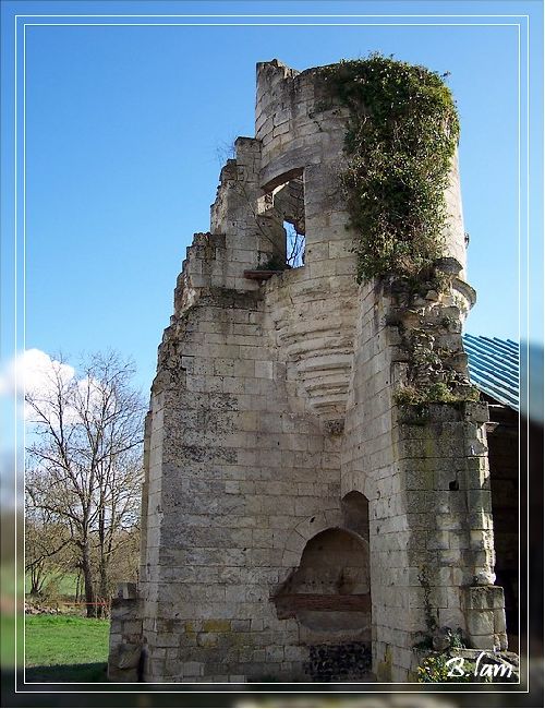 Les Ruines du Prieuré de Moreaucourt 