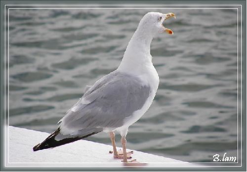 Boulogne Sur Mer 