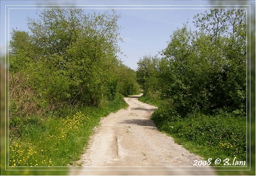 Mon Sentier Préféré du Marais des Boeufs (Camon)