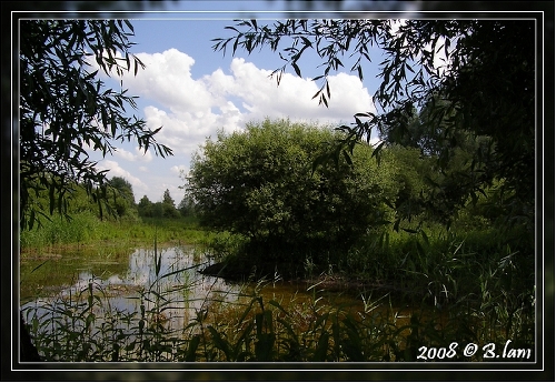 La Réserve Naturelle de l'Etang Saint-Ladre