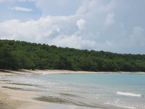Bucoo Bay