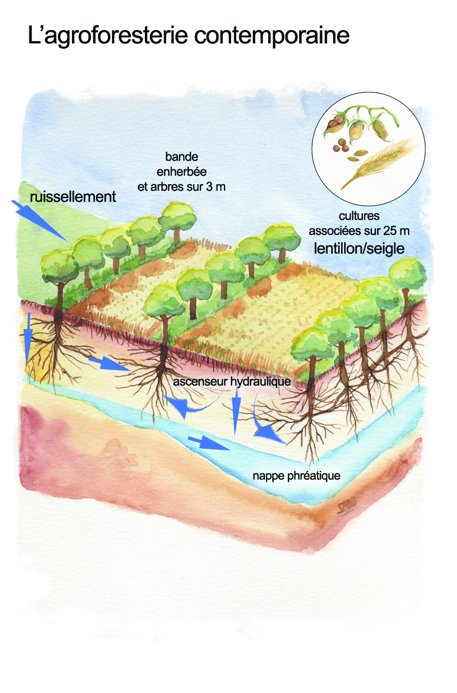 Annexe 4 - agroforesterie contemporaine