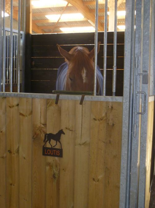 box chevaux