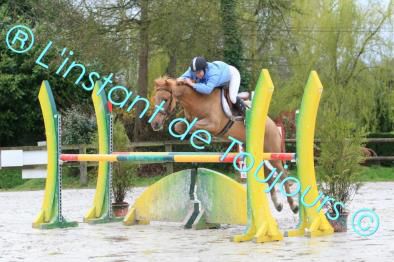 pinto deauville GP 1.05m