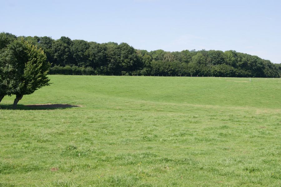 Le plateau de Souvergeaux