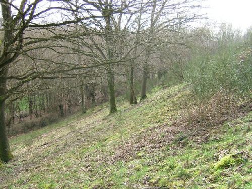 Le ravin du Stordoir coté 