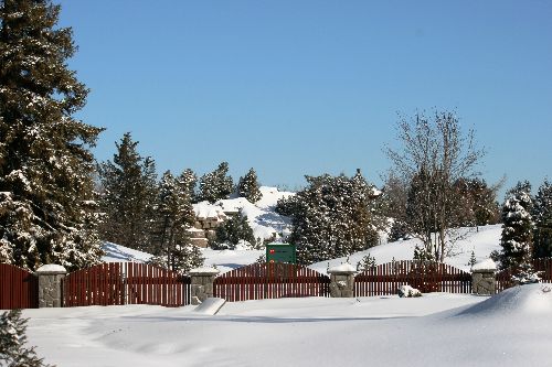 jardin botanique sous la neige