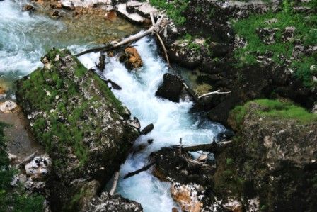 gorges du tarn