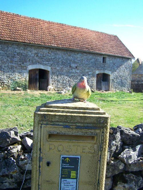 Envoyez-moi un peu de courrier !