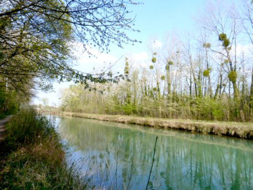 Bords de Marne - reflets et ombres