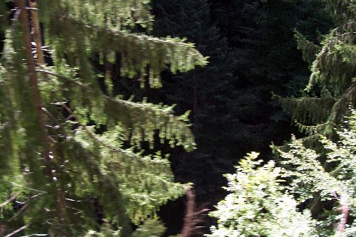 la dernière partie des gorges