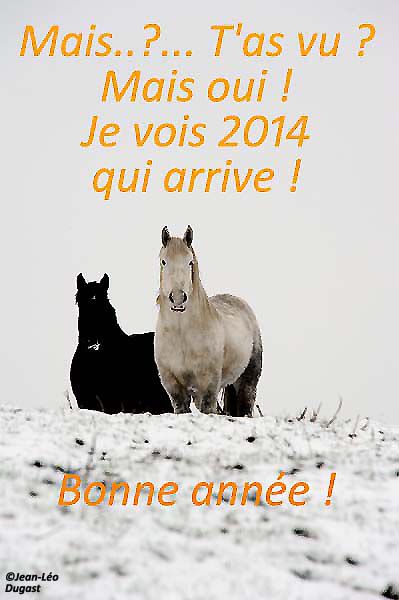 Les percherons vous souhaitent une bonne année 2014