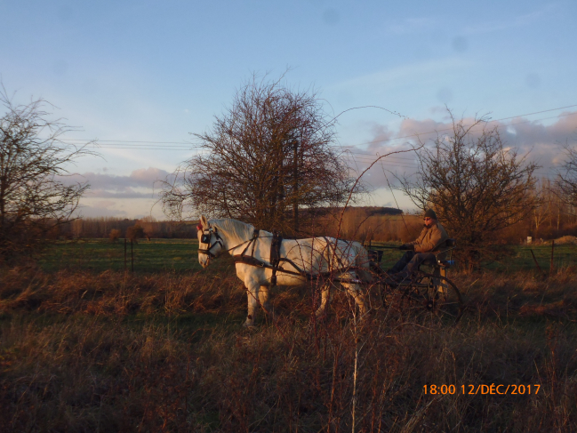 12 décembre 2017 ,marais de LE HAMEL