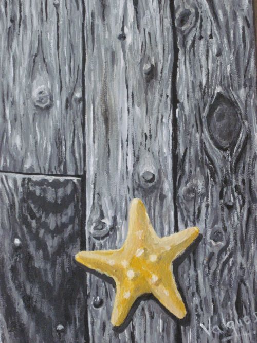 étoile de mer sur bois flotté