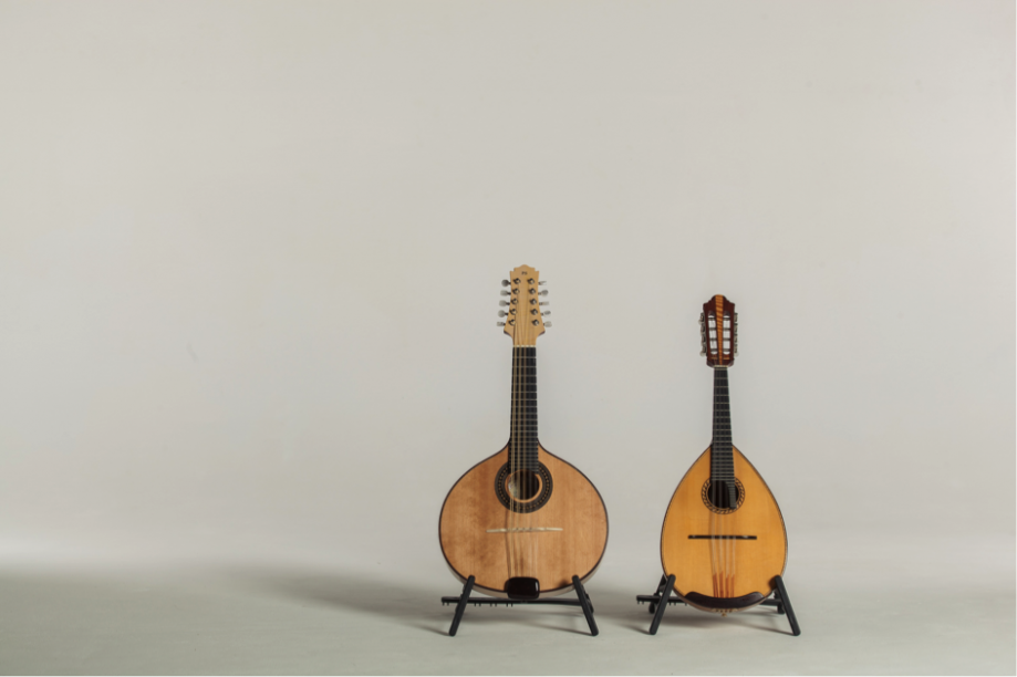 deux mandolines.png