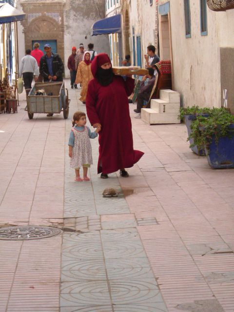 Dans les ruelles ... une tortue !