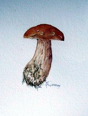 Reconnaissez-vous ce champignon ?