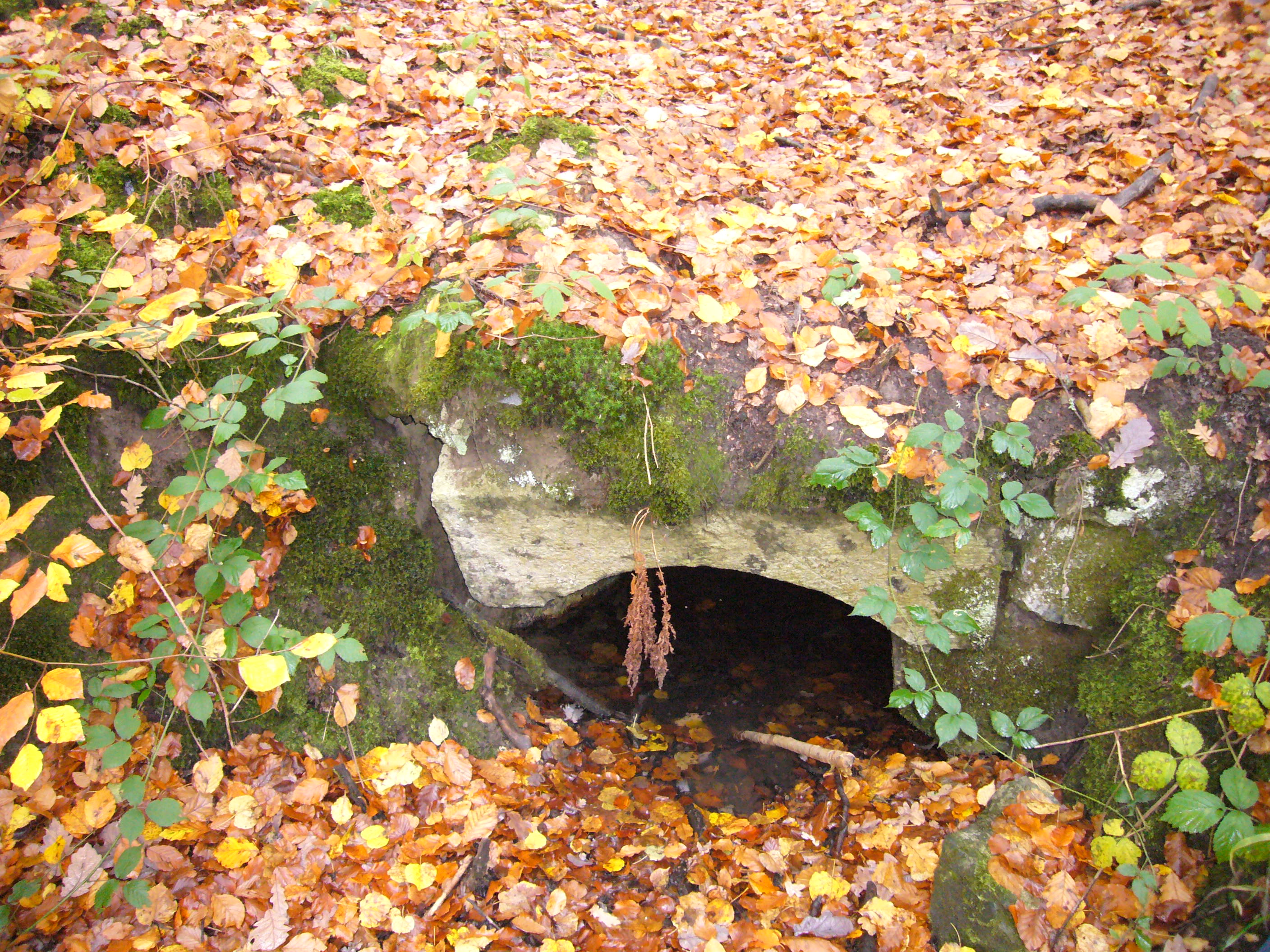 Fontaine Barbau.JPG