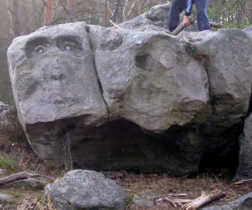 Curiosité en forêt d'Ermenonville